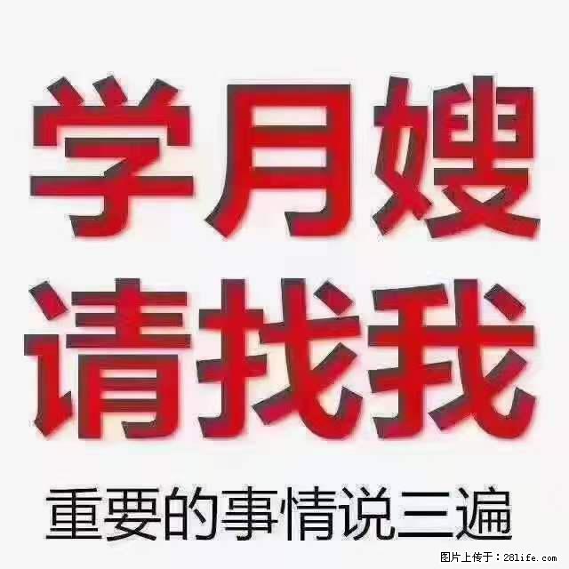 为什么要学习月嫂，育婴师？ - 其他广告 - 广告专区 - 松原分类信息 - 松原28生活网 songyuan.28life.com