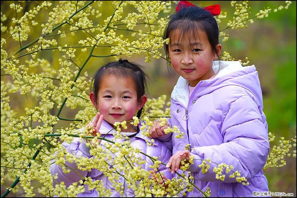 【春天,广西桂林灌阳县向您发出邀请!】米珠山前有片山苍子花在飘香 - 游山玩水 - 松原生活社区 - 松原28生活网 songyuan.28life.com