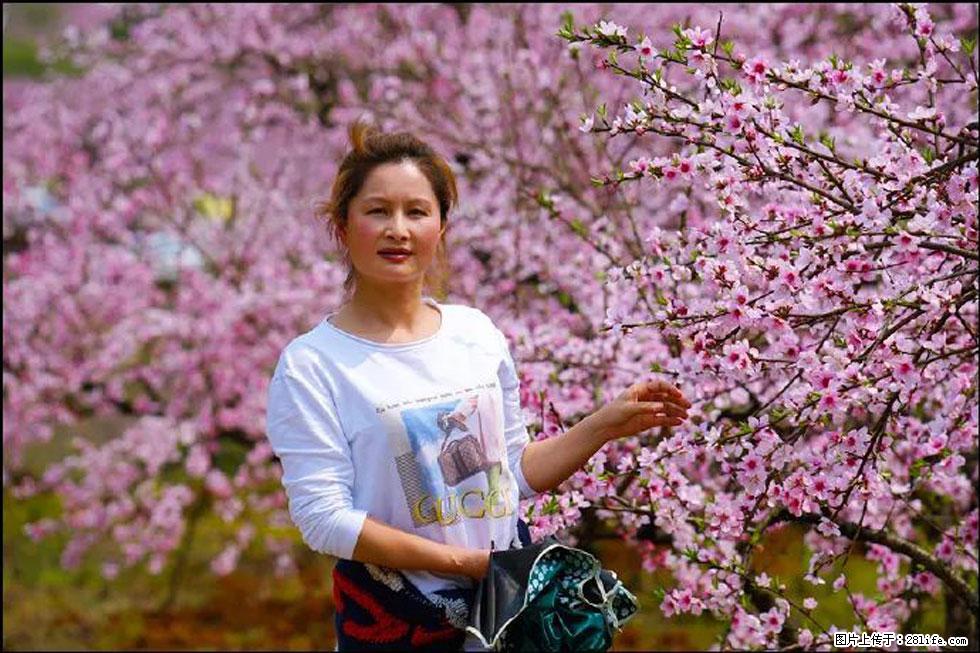 【春天,广西桂林灌阳县向您发出邀请!】官庄村有个醉美的桃花园 - 游山玩水 - 松原生活社区 - 松原28生活网 songyuan.28life.com