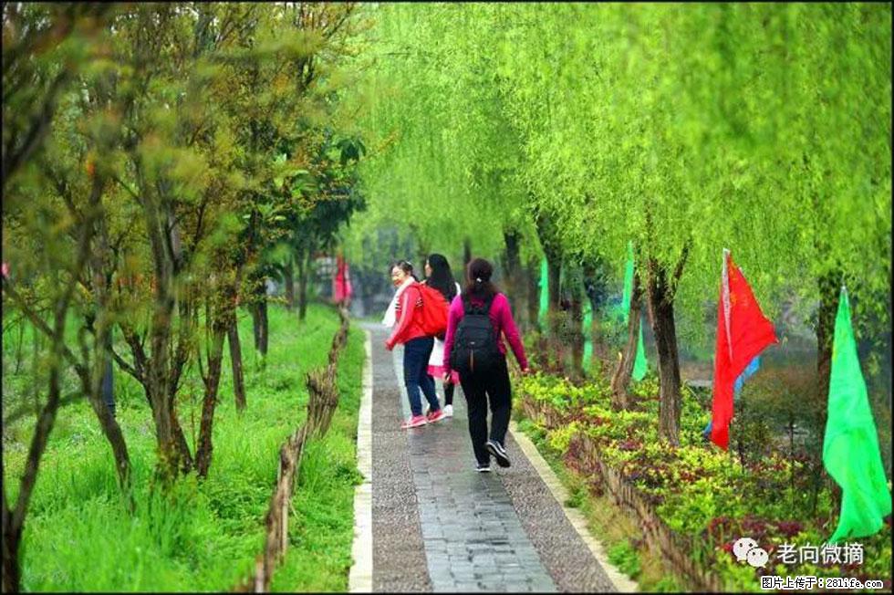 【春天,广西桂林灌阳县向您发出邀请!】江口老街又逢春 - 游山玩水 - 松原生活社区 - 松原28生活网 songyuan.28life.com