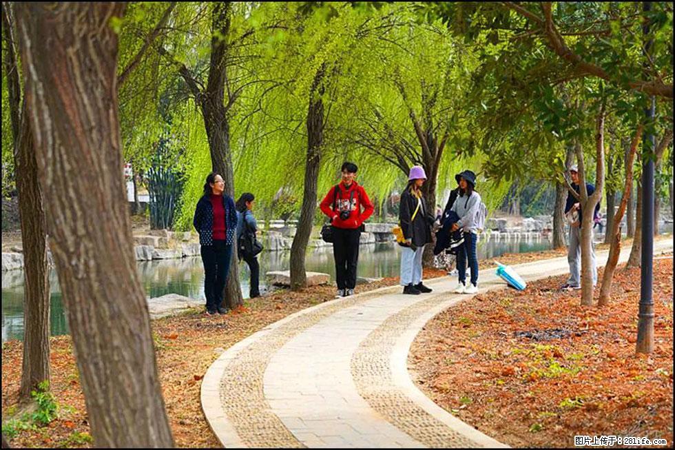 【春天,广西桂林灌阳县向您发出邀请!】江口老街又逢春 - 游山玩水 - 松原生活社区 - 松原28生活网 songyuan.28life.com