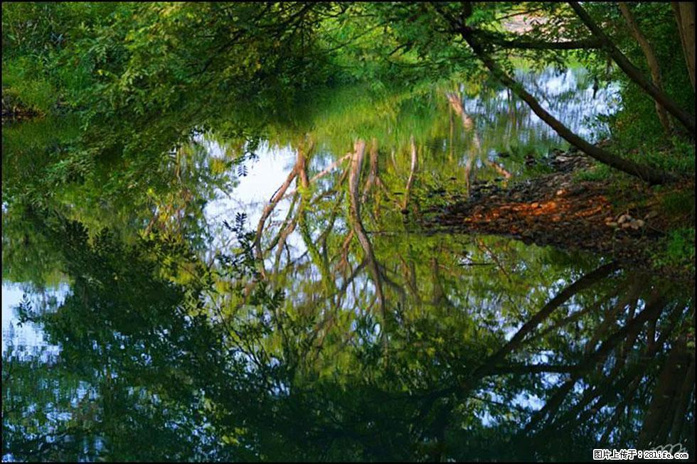 【春天,广西桂林灌阳县向您发出邀请!】熊家寨湿地公园 - 游山玩水 - 松原生活社区 - 松原28生活网 songyuan.28life.com