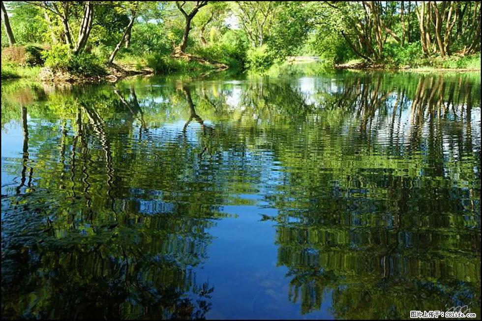 【春天,广西桂林灌阳县向您发出邀请!】熊家寨湿地公园 - 游山玩水 - 松原生活社区 - 松原28生活网 songyuan.28life.com