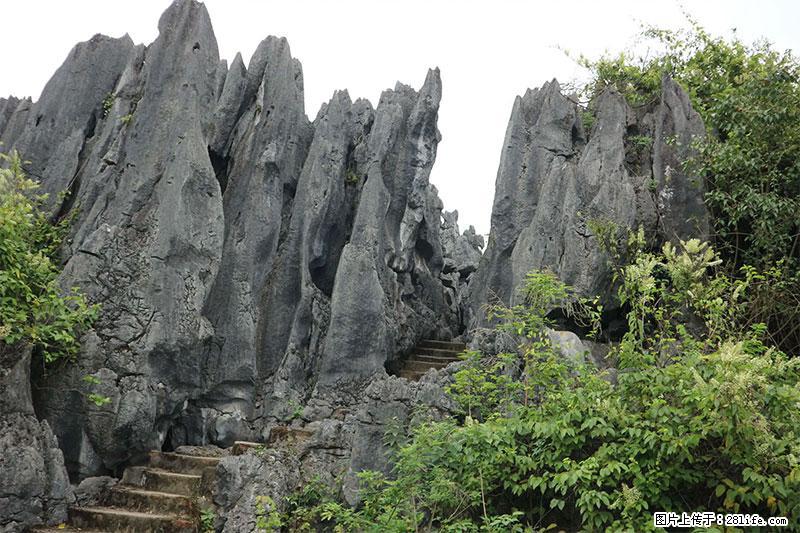 桂林旅游名城景点:灌阳文市石林 - 游山玩水 - 松原生活社区 - 松原28生活网 songyuan.28life.com