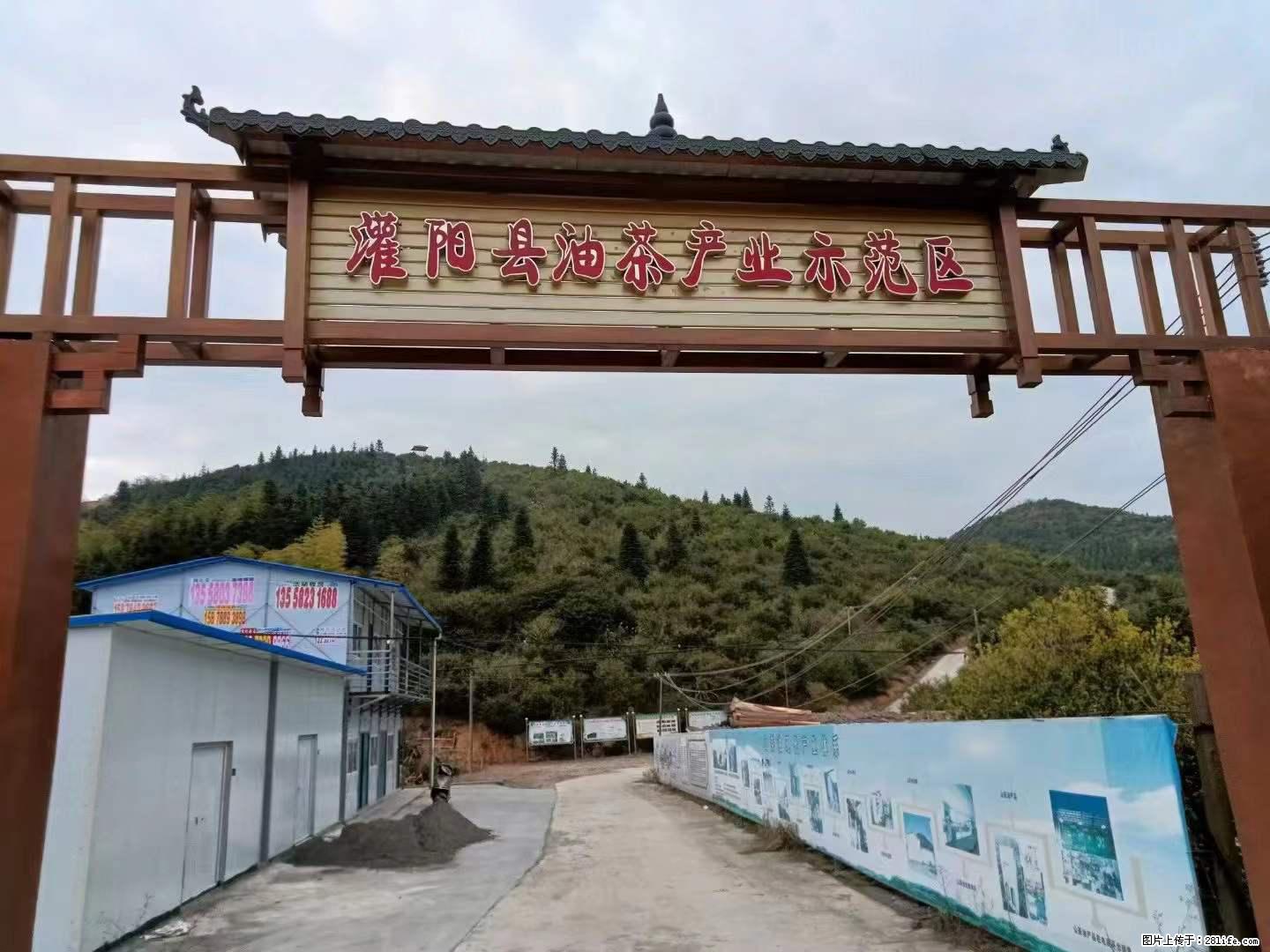 【灌阳县油茶产业示范区】一个有着充实的精神生活的人,对待身外之物自会有一种淡泊的态度 - 美食天地 - 松原生活社区 - 松原28生活网 songyuan.28life.com