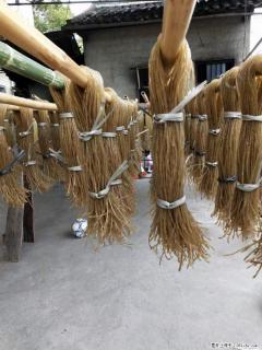 【灌阳正宗红薯粉】美女家里自己做的,干净卫生,假一赔十,价格合理,抢购电话:13737312895 - 松原28生活网 songyuan.28life.com