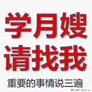 为什么要学习月嫂,育婴师? - 松原28生活网 songyuan.28life.com