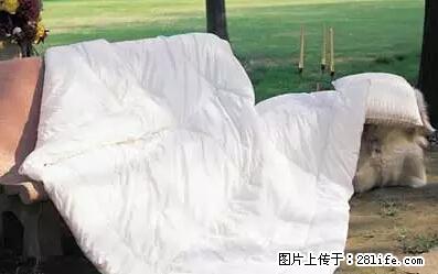 被子有异味?只要这样做,比晒太阳还强100倍! - 家居生活 - 松原生活社区 - 松原28生活网 songyuan.28life.com