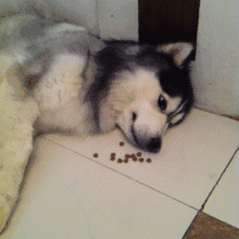 笑癫了！一女的怀孕三年未生，他终于忍不住了... - 娱乐八卦 - 松原生活社区 - 松原28生活网 songyuan.28life.com