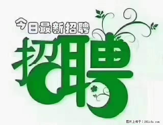 【招聘摄像师】待遇:试用期6000元/月,转正7000元/月+五险一金+餐补+节日福利+奖金 - 其他招聘信息 - 招聘求职 - 松原分类信息 - 松原28生活网 songyuan.28life.com