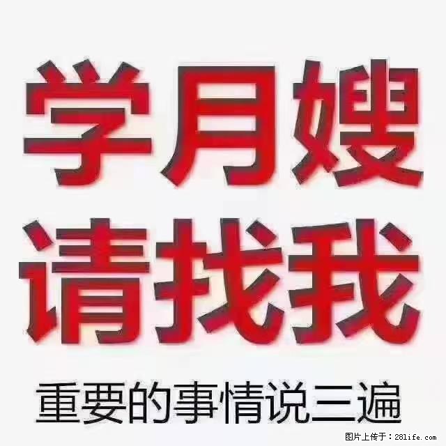 【招聘】月嫂，上海徐汇区 - 其他招聘信息 - 招聘求职 - 松原分类信息 - 松原28生活网 songyuan.28life.com