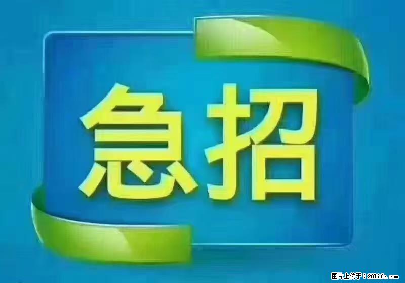 急单，上海长宁区隔离酒店招保安，急需6名，工作轻松不站岗，管吃管住工资7000/月 - 建筑/房产/物业 - 招聘求职 - 松原分类信息 - 松原28生活网 songyuan.28life.com