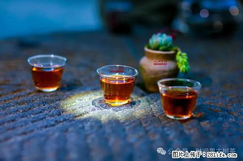 时间果百年古树2025年春红茶 - 购物交流 - 松原生活社区 - 松原28生活网 songyuan.28life.com