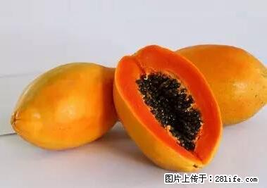 晕车、脚气、牙齿变黄、皮肤粗糙?学会这些三分钟搞定! - 松原生活资讯 - 松原28生活网 songyuan.28life.com