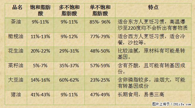揭秘茶油的5大核心营养成分!被称为人体健康的“守护盾”! - 松原生活资讯 - 松原28生活网 songyuan.28life.com