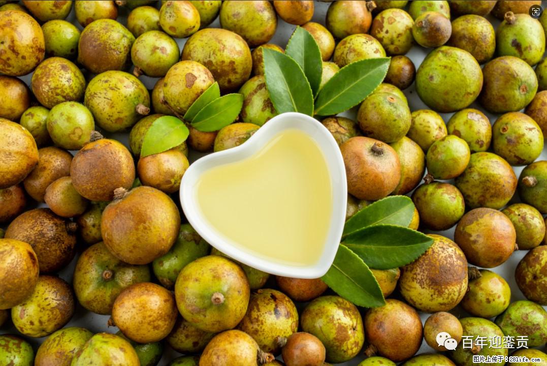 世界没有真相，只有认知，最好的食用油是中国的山茶油！ - 松原生活资讯 - 松原28生活网 songyuan.28life.com