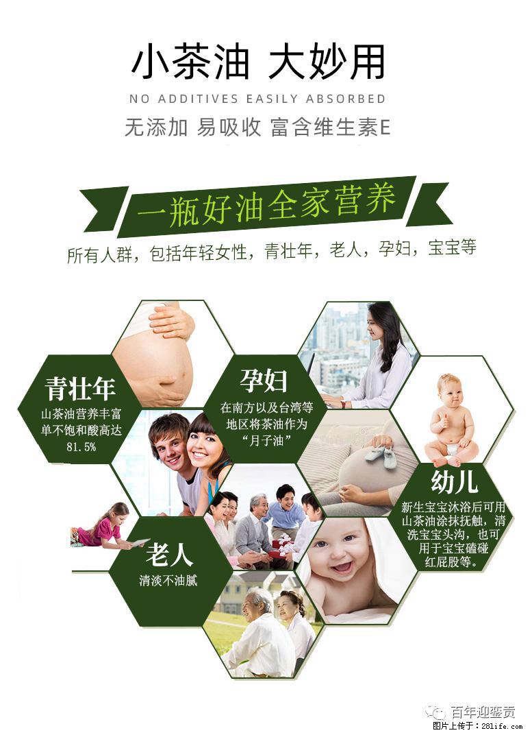 世界没有真相，只有认知，最好的食用油是中国的山茶油！ - 松原生活资讯 - 松原28生活网 songyuan.28life.com