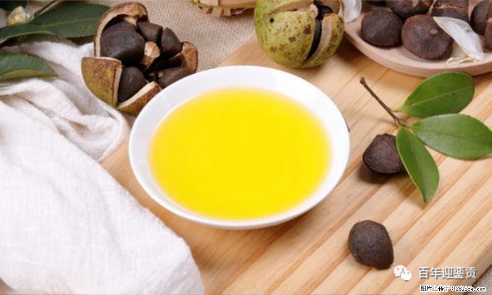 世界没有真相，只有认知，最好的食用油是中国的山茶油！ - 松原生活资讯 - 松原28生活网 songyuan.28life.com