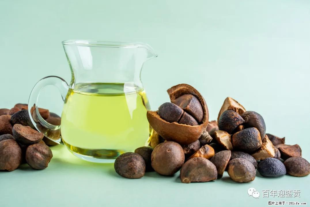 世界没有真相，只有认知，最好的食用油是中国的山茶油！ - 松原生活资讯 - 松原28生活网 songyuan.28life.com