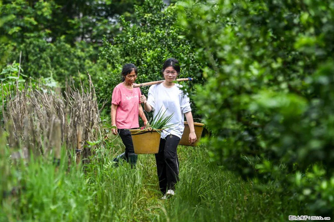 全网追的“扁担女孩”,找了一份暑假工,时薪12元 - 松原生活资讯 - 松原28生活网 songyuan.28life.com