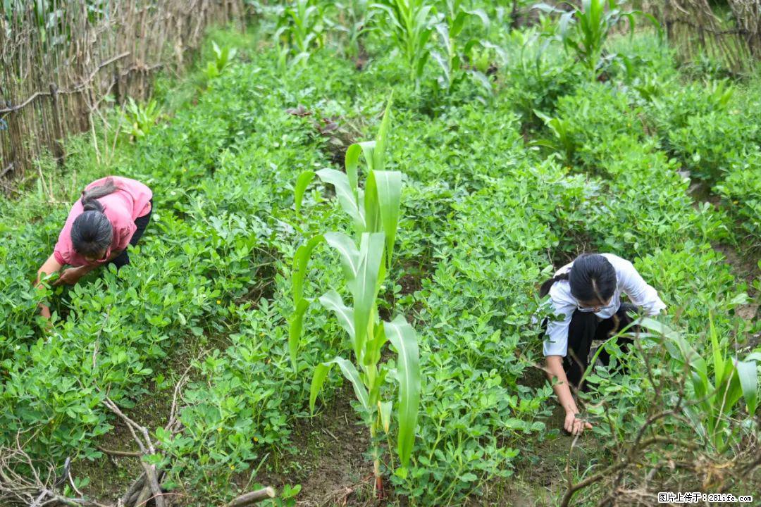 全网追的“扁担女孩”,找了一份暑假工,时薪12元 - 松原生活资讯 - 松原28生活网 songyuan.28life.com