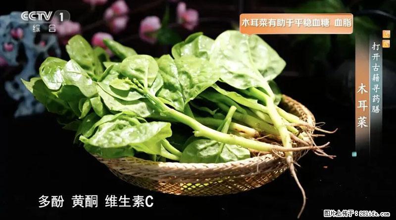 比牛奶补钙还厉害！凉血解毒、稳血糖...这菜冬天必吃，很多人却当草 - 松原生活资讯 - 松原28生活网 songyuan.28life.com