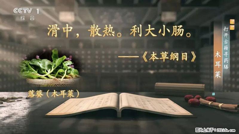 比牛奶补钙还厉害！凉血解毒、稳血糖...这菜冬天必吃，很多人却当草 - 松原生活资讯 - 松原28生活网 songyuan.28life.com