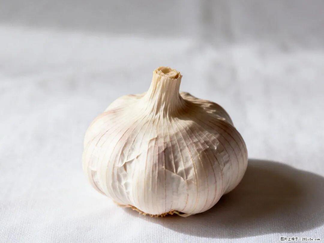 关于大蒜,除了“天然抗生素”,这4个谣言更该警惕! - 松原生活资讯 - 松原28生活网 songyuan.28life.com