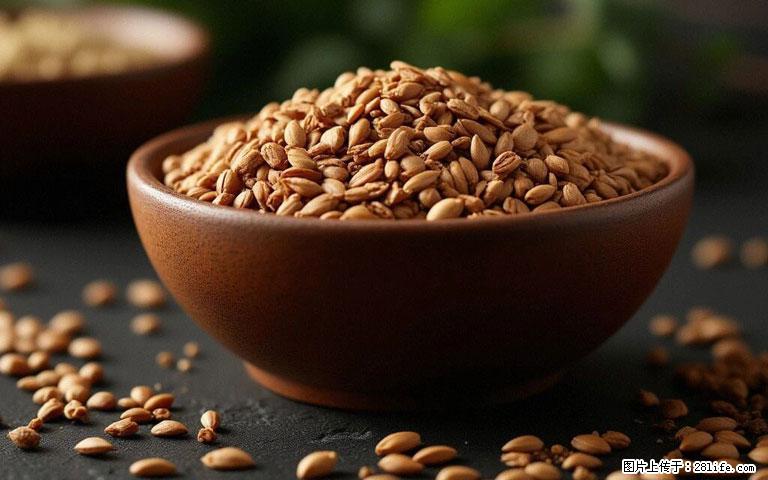 这三苦是三高“克星”,心血管干净不易堵!每天吃一点,指标慢慢降下来~ - 松原生活资讯 - 松原28生活网 songyuan.28life.com