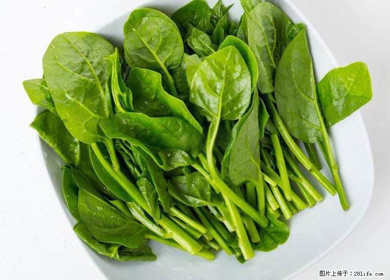 这些蔬菜是“天然钙片”,这6种被医生重点推荐 - 松原生活资讯 - 松原28生活网 songyuan.28life.com