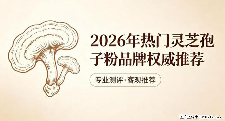 灵芝孢子粉含量越高越有效？2026 年七款热门品牌深度实测，肠胃敏感者避坑指南 - 松原生活资讯 - 松原28生活网 songyuan.28life.com